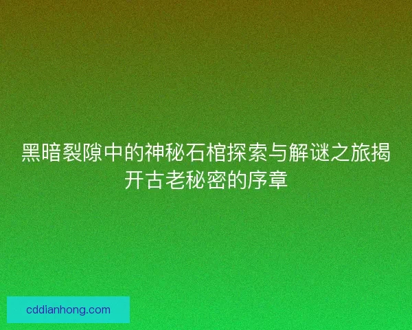 黑暗裂隙中的神秘石棺探索与解谜之旅揭开古老秘密的序章