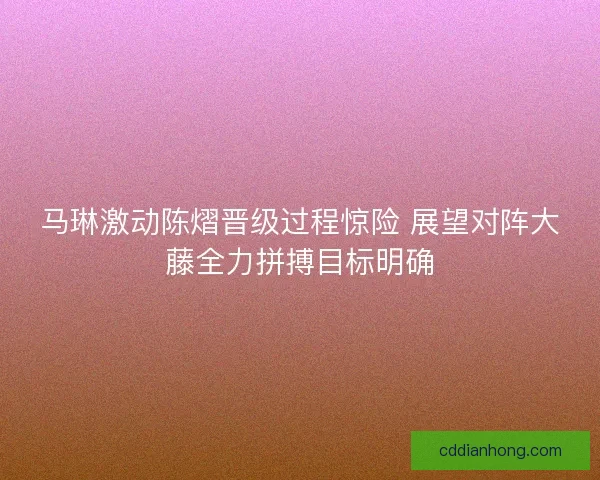 马琳激动陈熠晋级过程惊险 展望对阵大藤全力拼搏目标明确