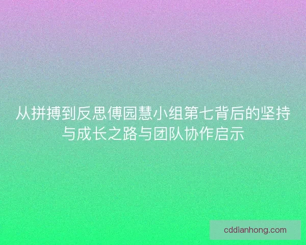 从拼搏到反思傅园慧小组第七背后的坚持与成长之路与团队协作启示
